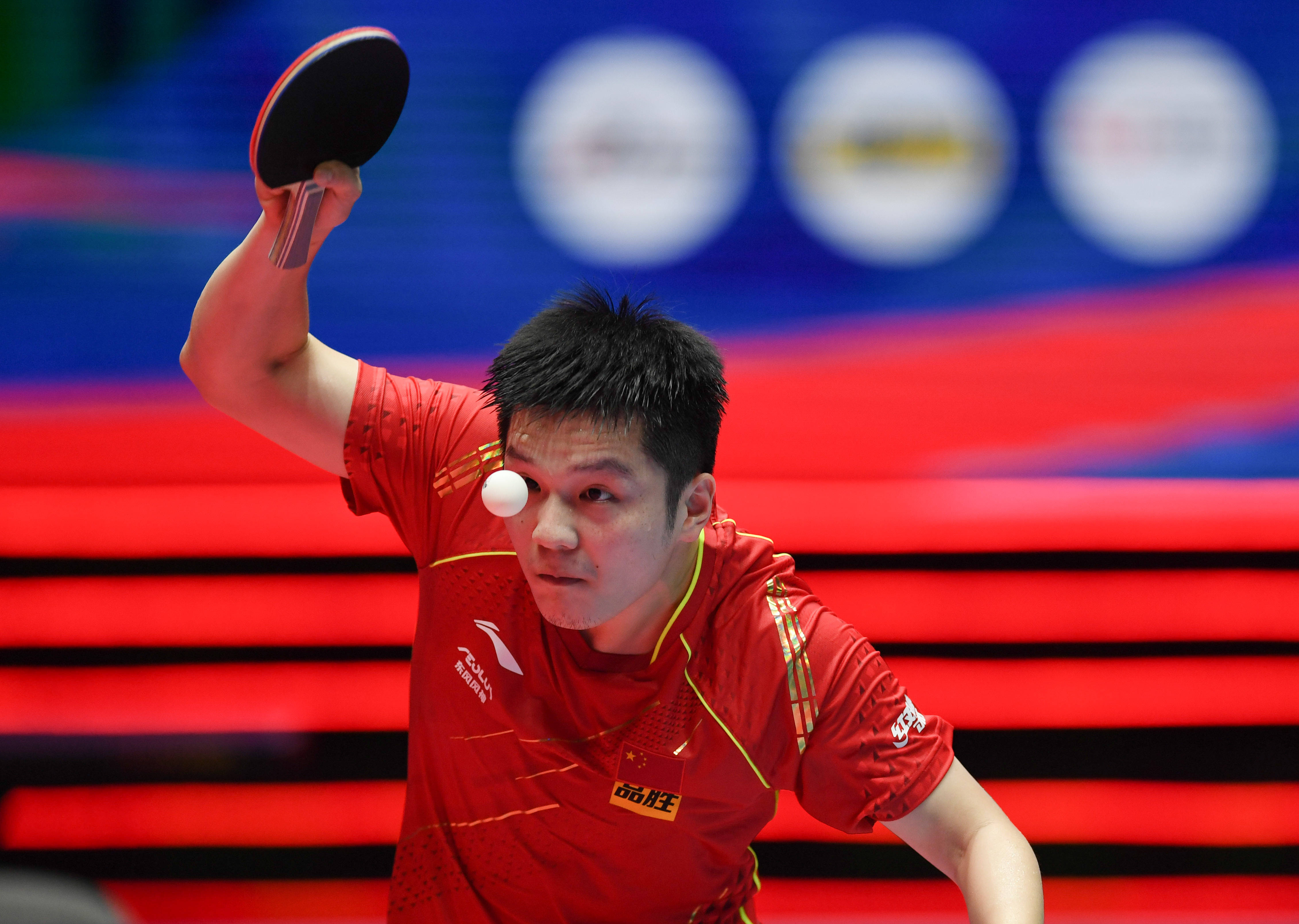 果的不满 果的不满