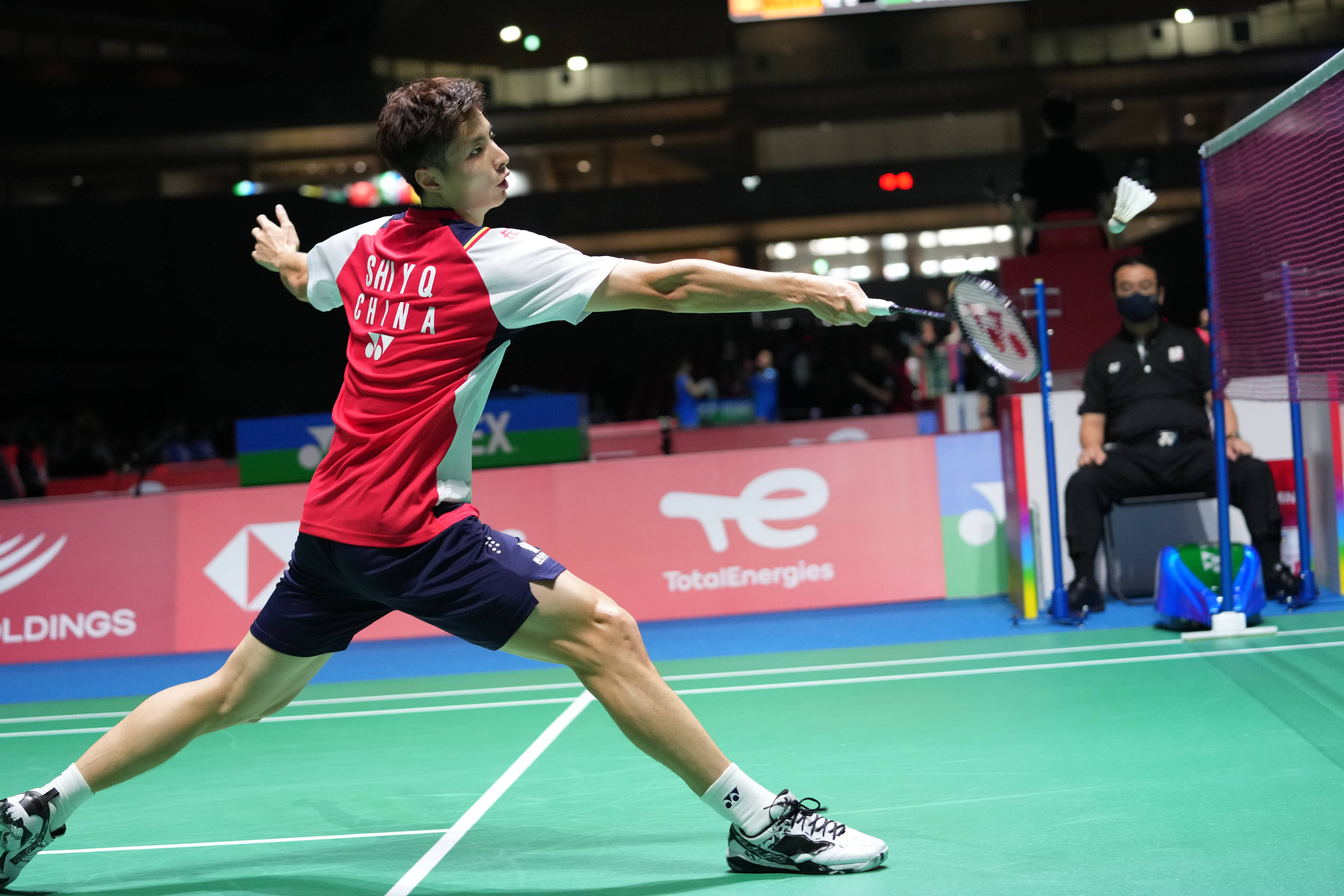 这只猫咪新 这只猫咪新