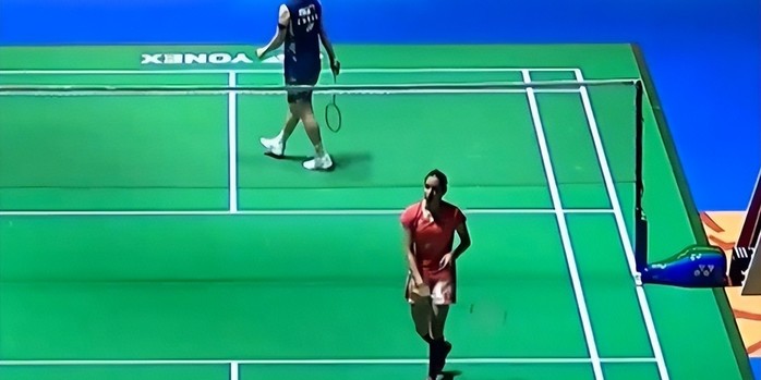 他们有望在 他们有望在